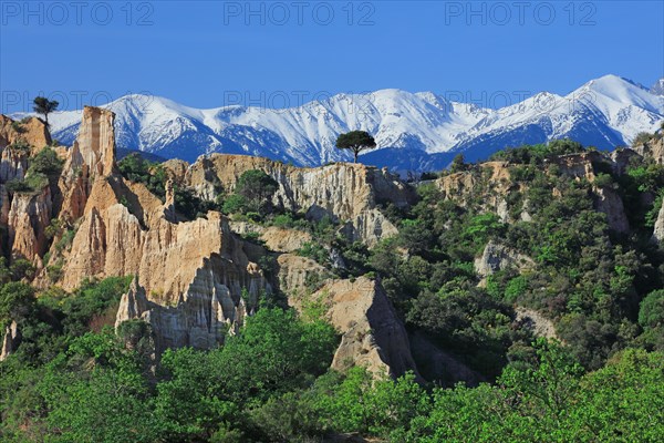 Ille-sur-Têt, Pyrénées-Orientales