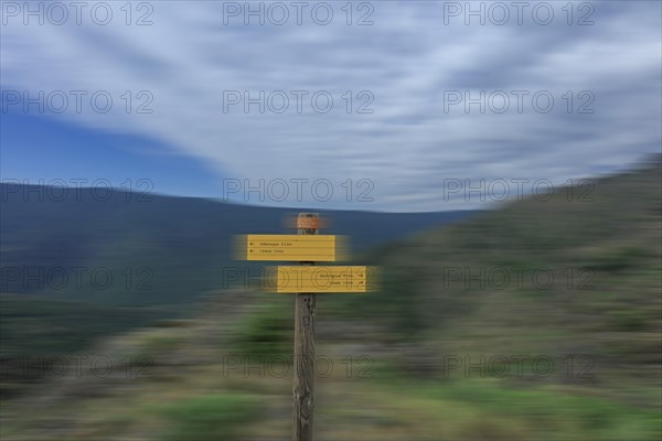 Parc National des Cévennes, massif de l'Aigoual, Gard