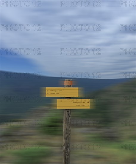 Parc National des Cévennes, massif de l'Aigoual, Gard