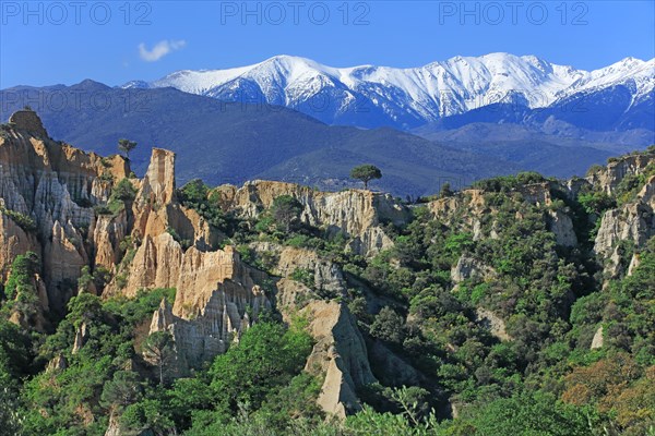 Ille-sur-Têt, Pyrénées-Orientales