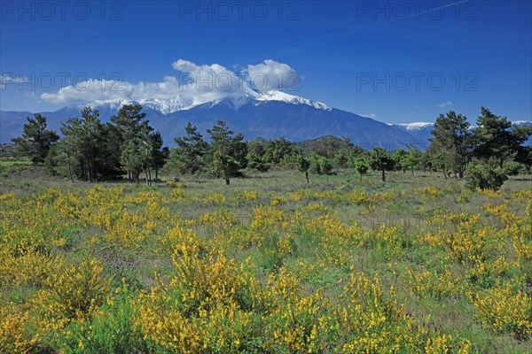 Massif du Canigou, Pyrénées-Orientales