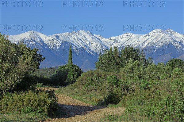 Massif du Canigou, Pyrénées-Orientales