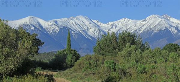 Massif du Canigou, Pyrénées-Orientales