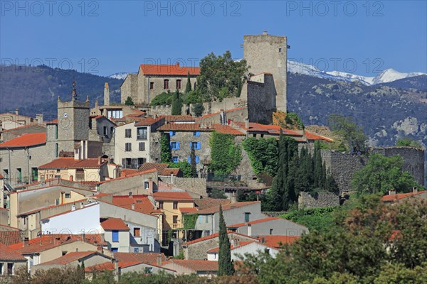 Montalba-le-Château, Pyrénées-Orientales