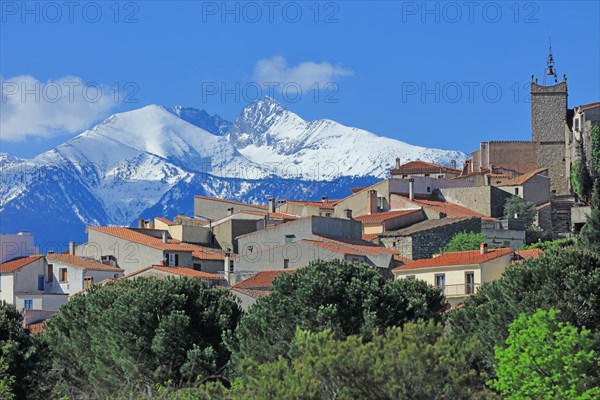 Montalba-le-Château, Pyrénées-Orientales