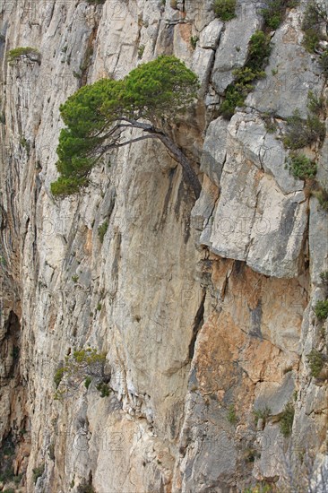 Calanques de Marseille, Bouches-du-Rhône