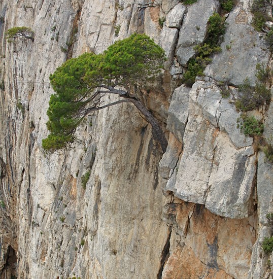 Calanques de Marseille, Bouches-du-Rhône