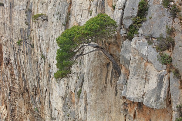 Calanques de Marseille, Bouches-du-Rhône