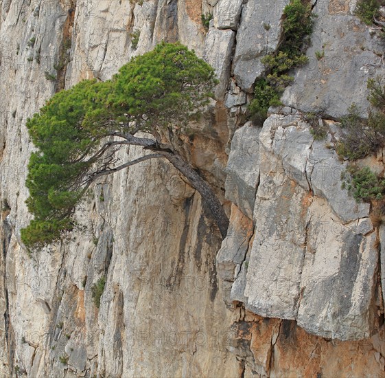 Calanques de Marseille, Bouches-du-Rhône