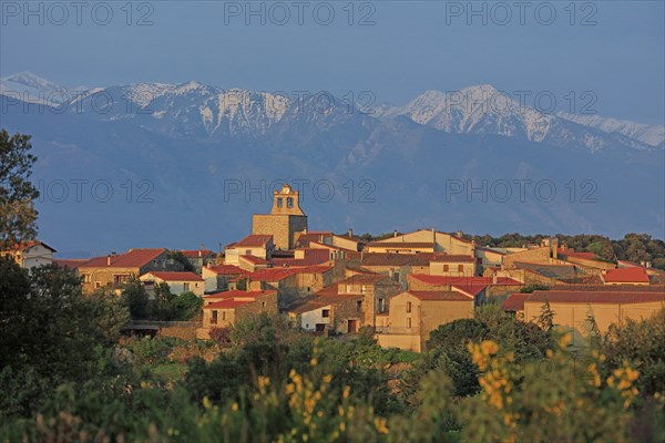 Arboussol, Pyrénées-Orientales