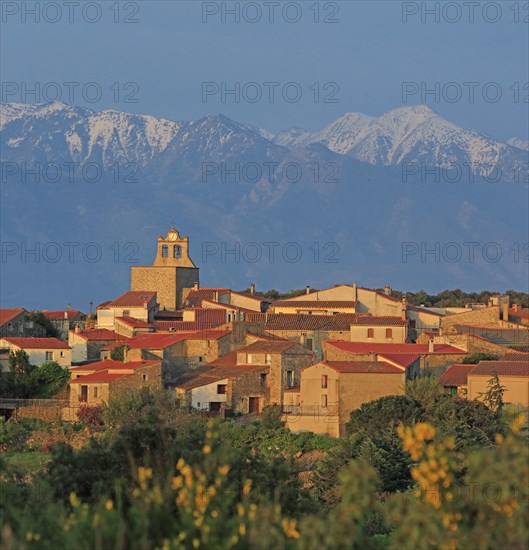 Arboussol, Pyrénées-Orientales