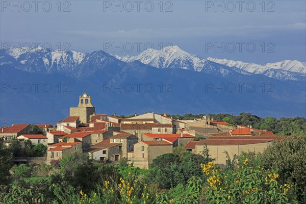 Arboussol, Pyrénées-Orientales