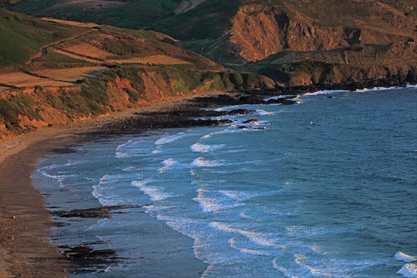 Baie d'Ecalgrain, Manche