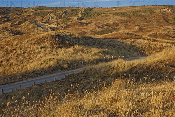 Dune massif in Biville, Manche