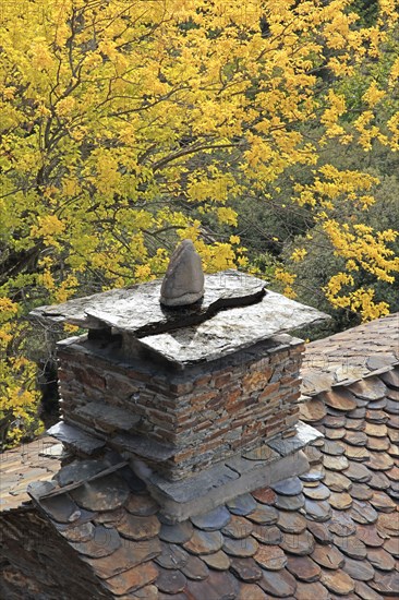 Chimney and slate roof