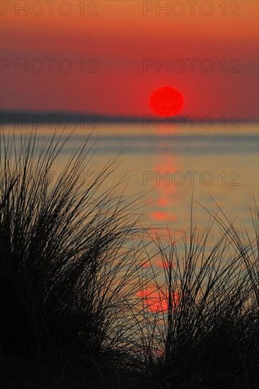 Coucher de soleil, Cotentin