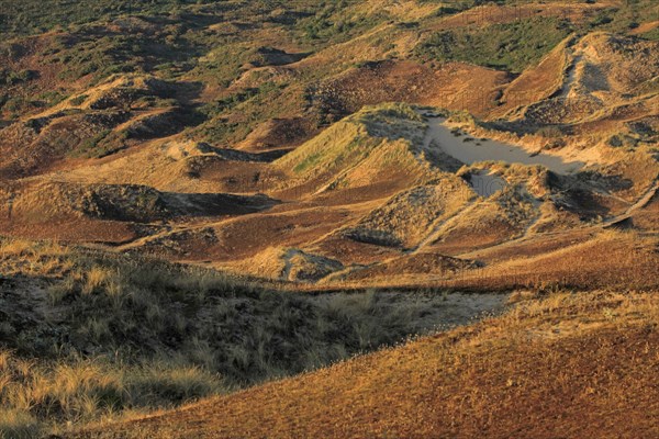 Dune massif at Biville, Manche