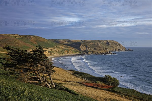 Baie d'Ecalgrain, Manche