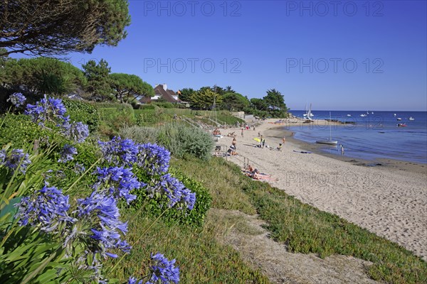 Estuaire de la Saire, Manche