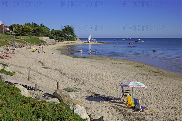 Saire estuary, Manche