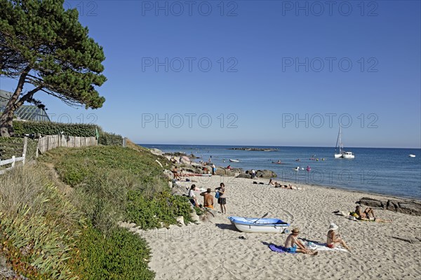 Saire estuary, Manche