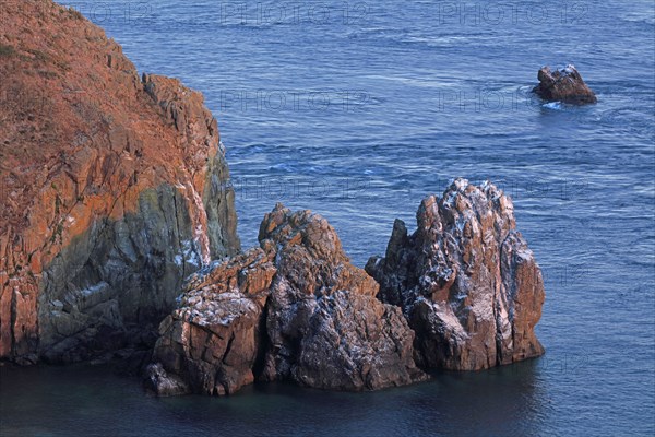 Cap de la Hague, Nez de Jobourg, Cotentin