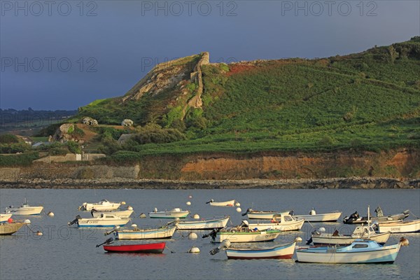 Omonville-la-Rogue, Manche