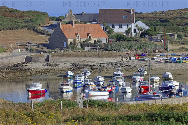 Fermanville, le cap, Manche