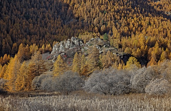 Névache en automne, Vallée de la Clarée, Hautes-Alpes