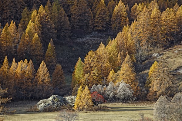 Névache in autumn, Clarée Valley, Hautes-Alpes