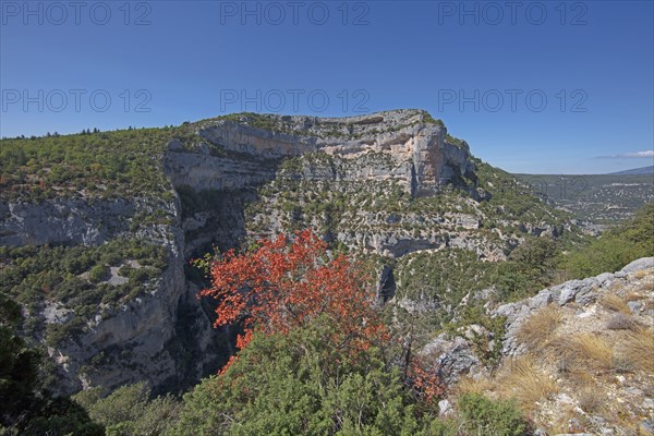 Monieux, Gorges of the Nesque, Vaucluse