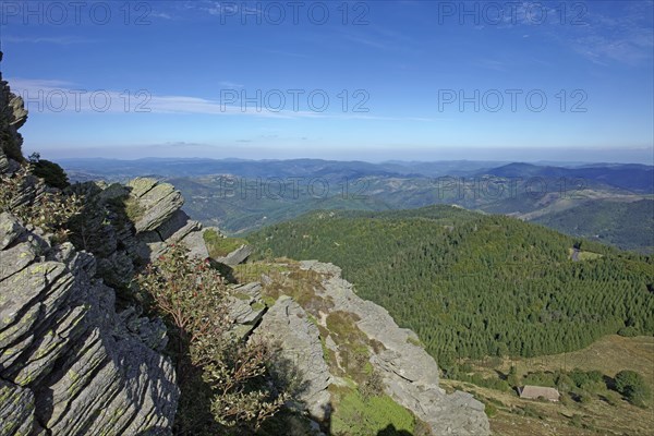 Sommet du Mont Gerbier-de-Jonc, Mont Gerbier-de-Jonc, dôme volcanique, Ardèche