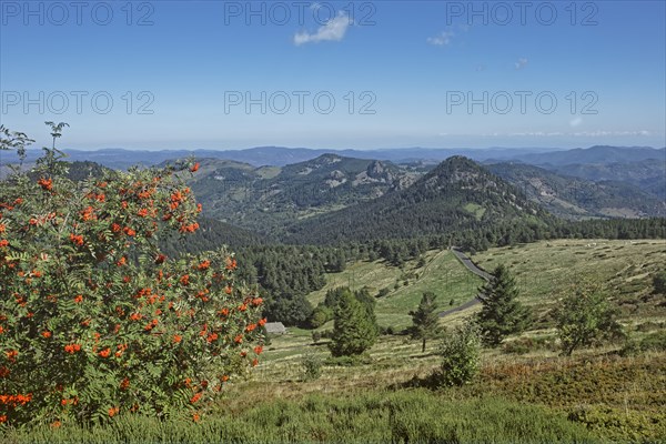 Borée, Ardèche