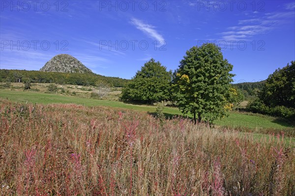 Mont Gerbier de Jonc, Ardèche