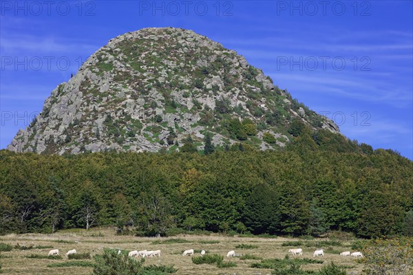 The Mont Gerbier de Jonc, Ardèche