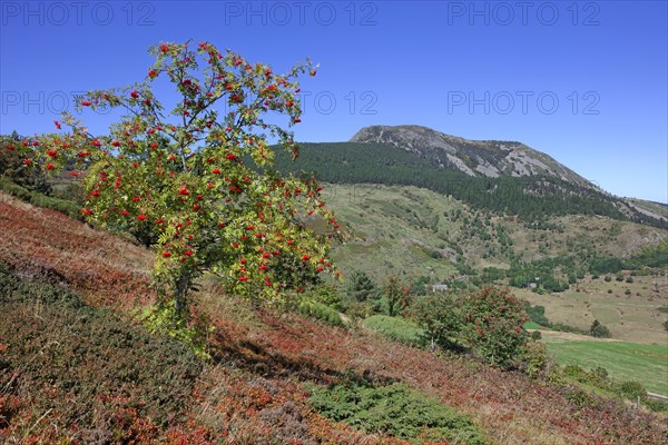 Les Estables, Haute-Loire