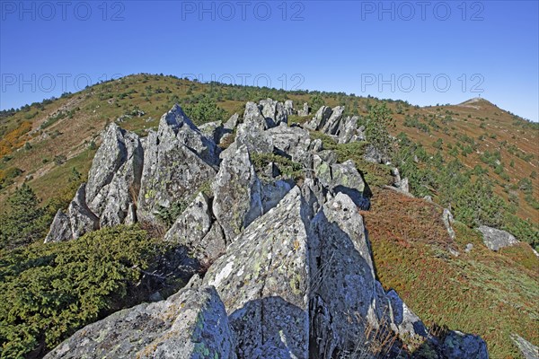 Les Estables, Haute-Loire