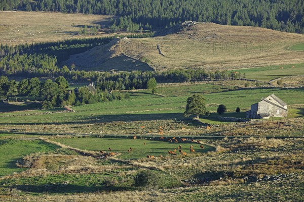 Les Estables, Haute-Loire