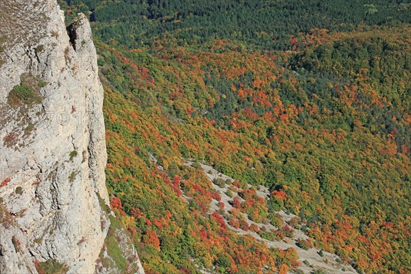 Saou, Drôme