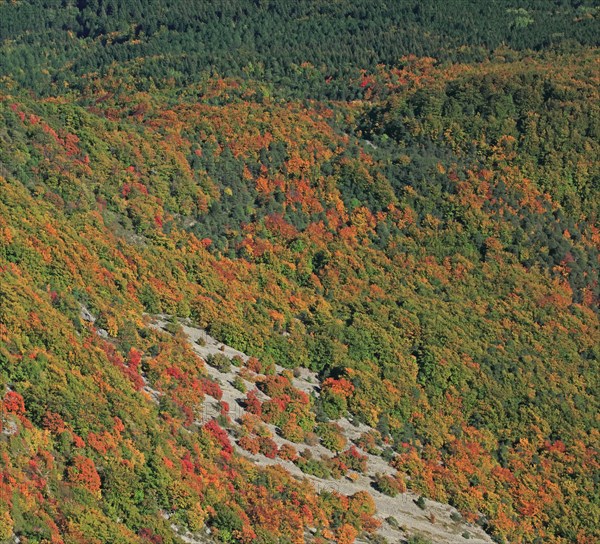 Saou, Drôme