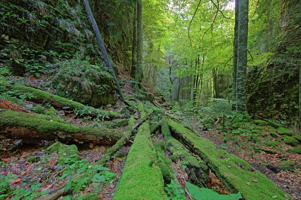 Saou, Drôme