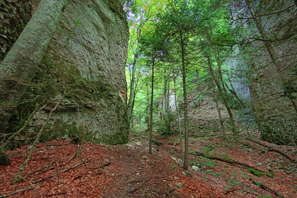 Saou, Drôme