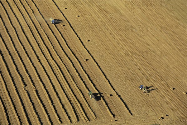 Aerial view of a field during the harvest