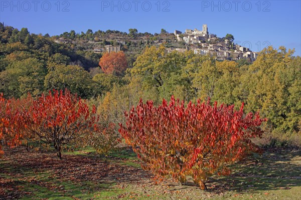 Lacoste, Vaucluse