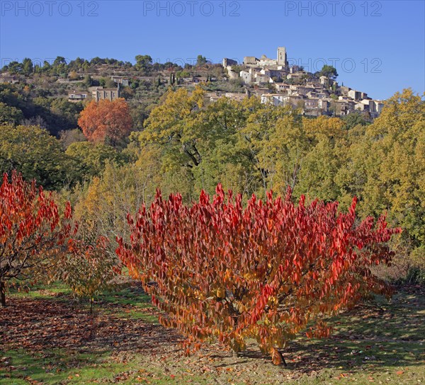 Lacoste, Vaucluse