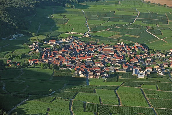 Trépail, Marne