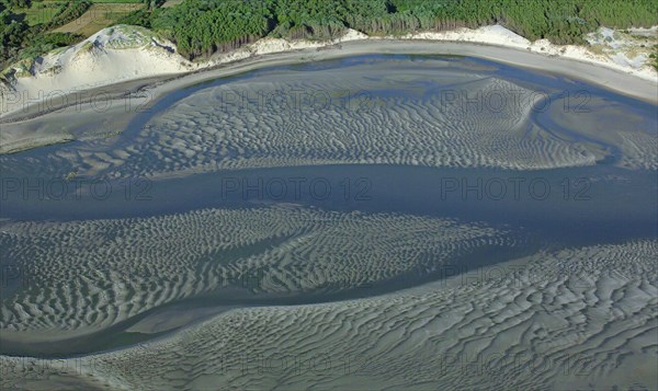 Baie d'Authie, Pas-de-Calais