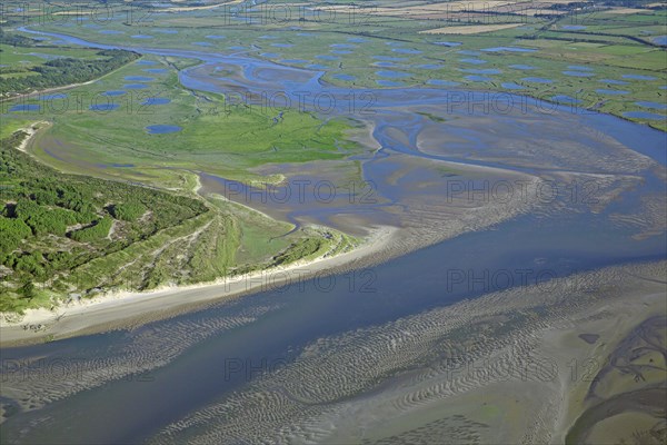 Baie d'Authie, Pas-de-Calais