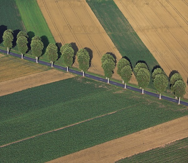 Paysage aérien, Marne