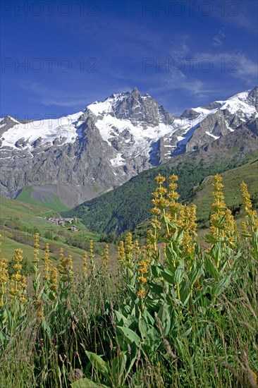 La Grave, Hautes-Alpes